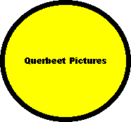 Querbeet Pictures